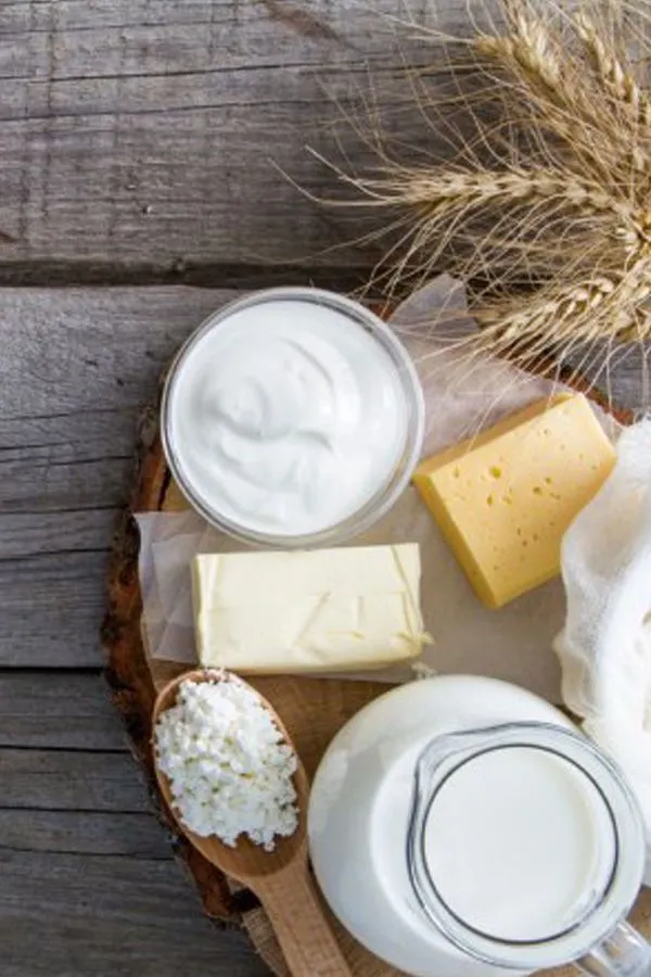Yogurt, burro, formaggio, ricotta e una brocca di latte su un tagliere di legno, accanto a spighe di grano